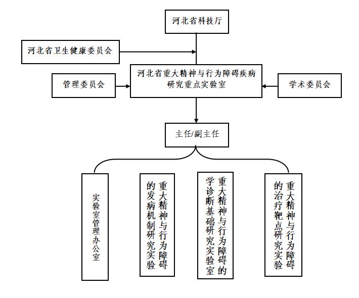 组织构架